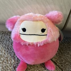 Squishmallow 