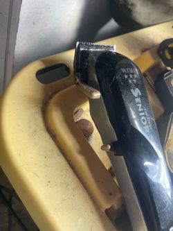 Wahl clippper