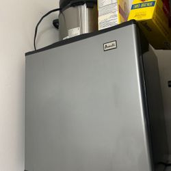 Upright Freezer 