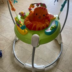 Fisher Price Baby Bouncer