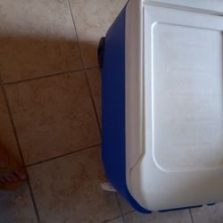 Hielera Excelente Condicion 