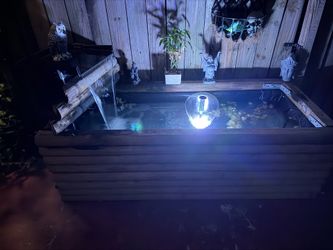 300 gallon pond