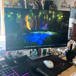 Dell Computer Moniter