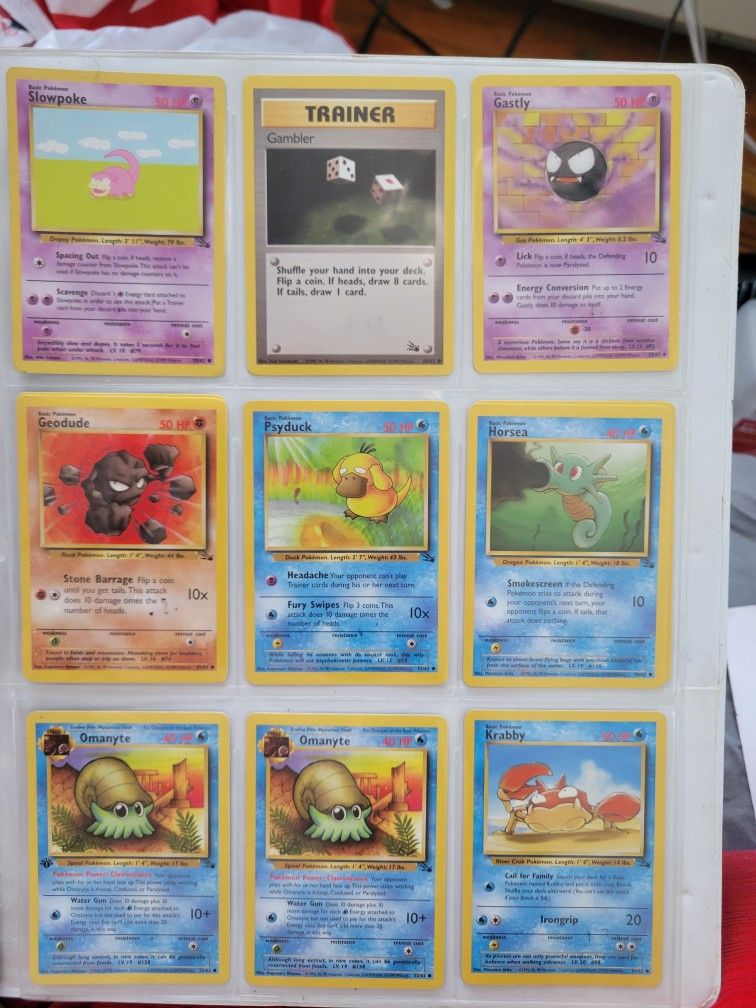Fossil Set lot Including 1st Edition Omanyte
