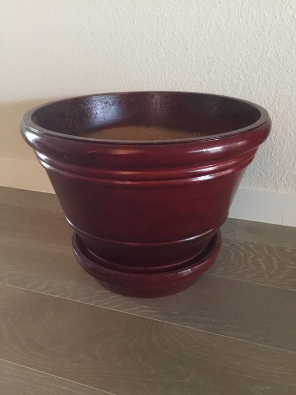 Sean Conway Large dark red Madison planter pot