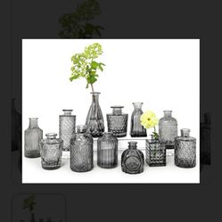 Glass Vases 