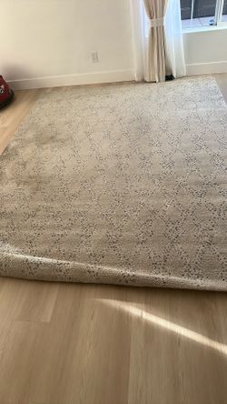 Allen and roth 8x12 area rug