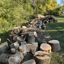 FREE FIREWOOD AND MULCH - help yourselves!