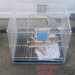 bird case 