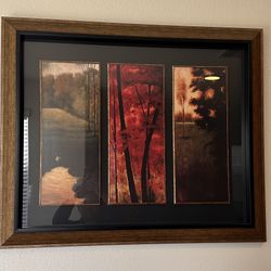 Framed Nature Glass Picture