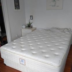 

Very Nice Queen Sealy Posturepedic Mattress and Platform Bed Frame


