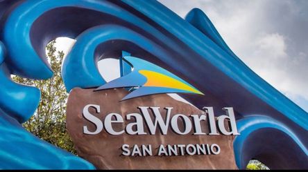 SeaWorld San Antonio 🌊 