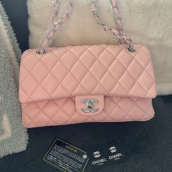Chanel Bag Purse 
