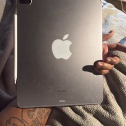 Apple IPad Pro WiFi+Cellular 