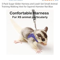 Glider, Harness, And Leash