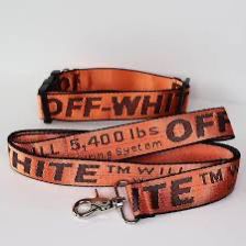 Off White Dog Collar And Leash 