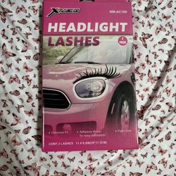 Headlight Lashes 