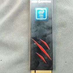 256 Mnve Ssd And 16gb DDR4 Ram