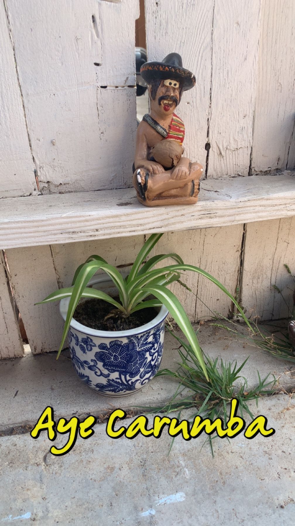 Pots And Plant Holders