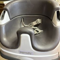 Ingenuity Booster Seat