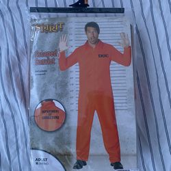 Prisoner /Criminal Costume