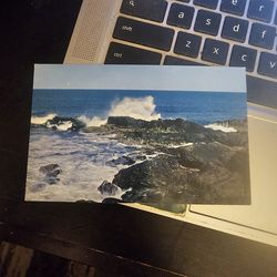 Maines rock bound coast vintage Postcard