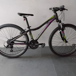 BICYCLE, LIV GIANT 21 SPEED SIZE 26 BRAND NEW 