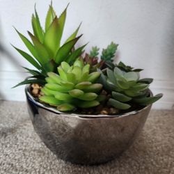 Faux Succulent Plant