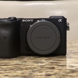 Sony a6600