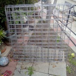 Chicken Cages 