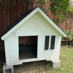 Dog House 