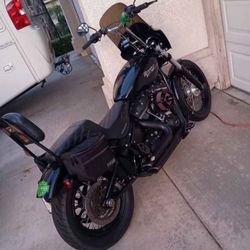 2019 Harley davidson Softail streetbob