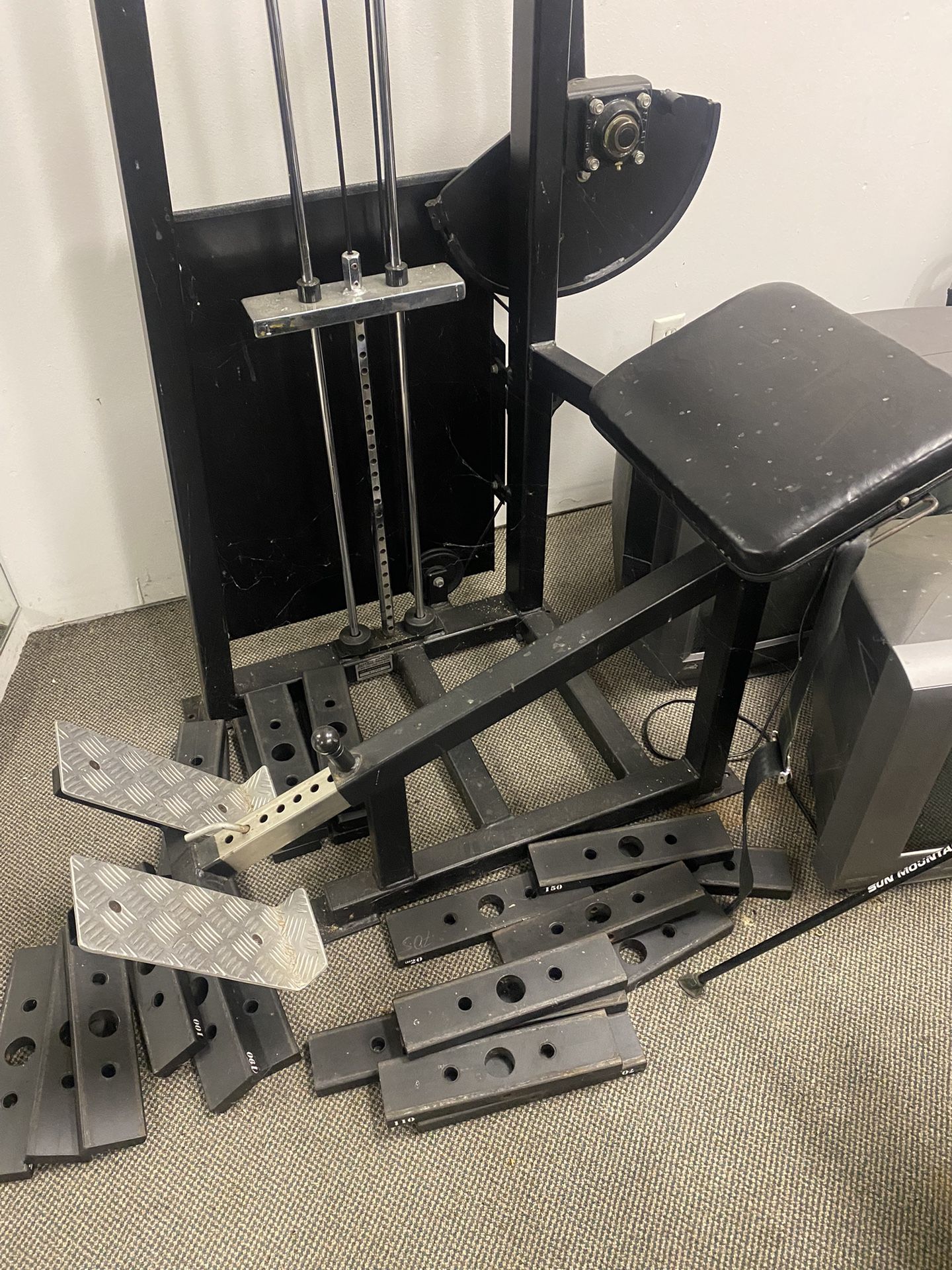 Apex Back Extension Machine