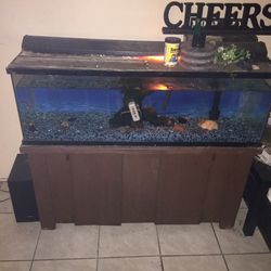 50 Gal Fresh Water Fish Tank