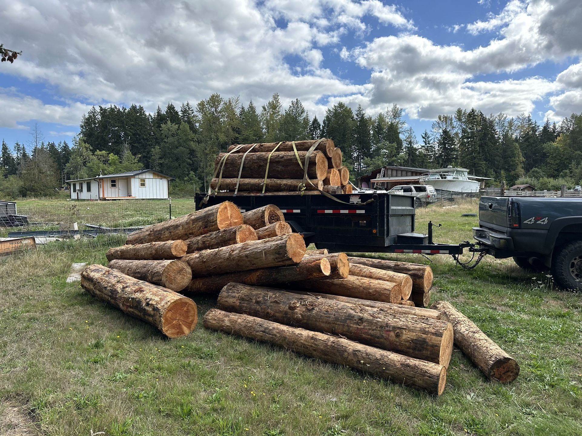 Firewood Logs