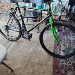 Mountain Bike