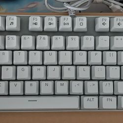 RGB KEYBOARD WITH BLUE CLICKY SWITCHES 80%