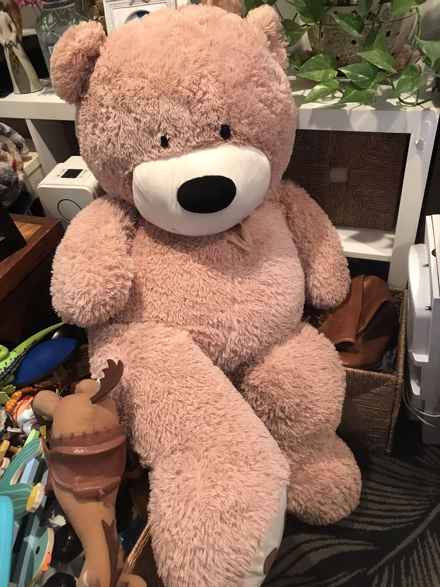 Big Teddy Bear
