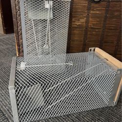 Mouse  Trap