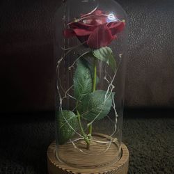 Beauty And The Beast Rose