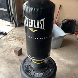 Everlast Punching Bag