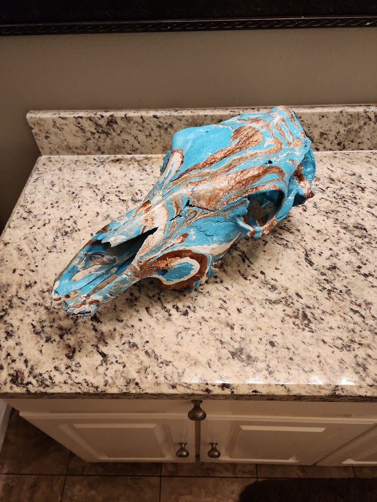 Hydro Dipped Cow Skull