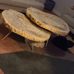 2 Petrified Wood Tables