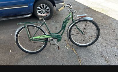 Schwinn panther