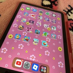 pink ipad 10th gen