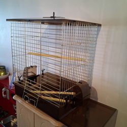 Bird Cage 