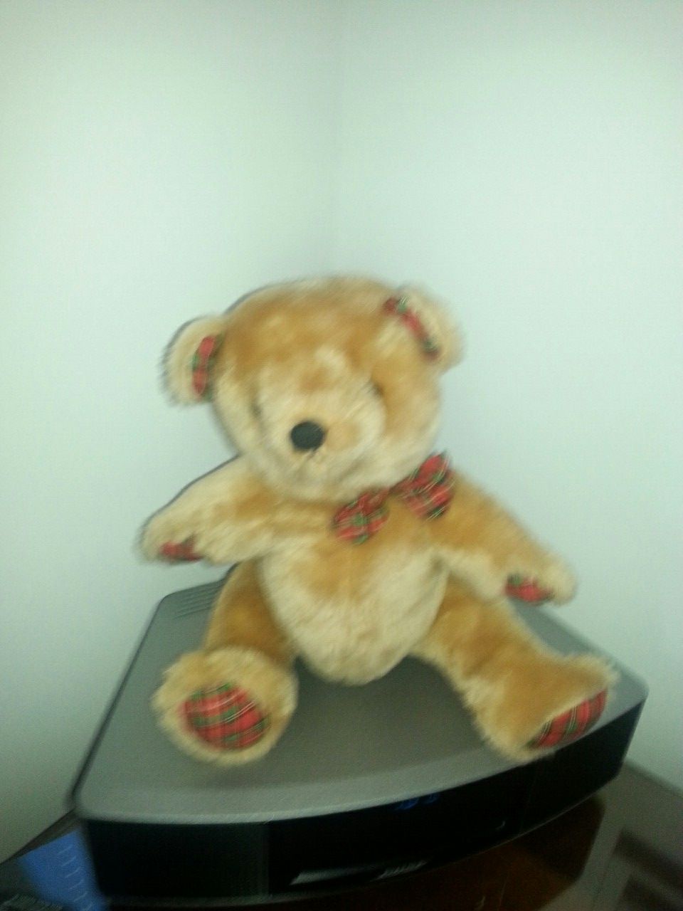 Macy's vintage bear
