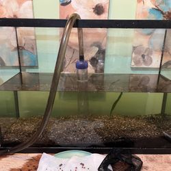 29 Gallon Tank, Lid, Filter And Extra Filters. 