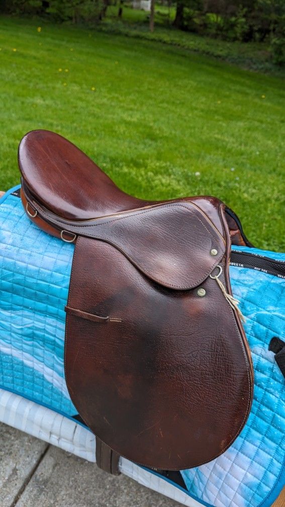 Courbette Saddle