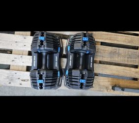 Adjustable Weights Nordic 55 Lb Each 